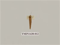 藏品(燈蛾科)的圖片